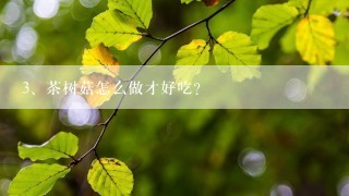 茶树菇怎么做才好吃？