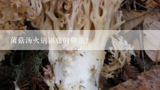 菌菇汤火锅锅底的做法？