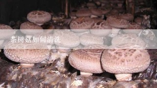 茶树菇如何清洗