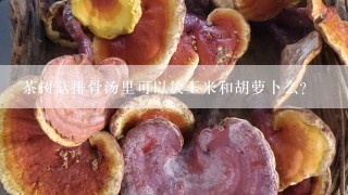 茶树菇排骨汤里可以放玉米和胡萝卜么？