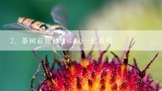 茶树菇能和竹shun一起煮吗