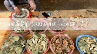 白萝卜可不可以跟茶树菇一起煮汤