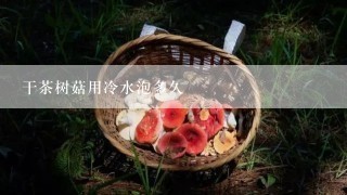 干茶树菇用冷水泡多久