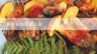 茶树菇烧肉怎么做