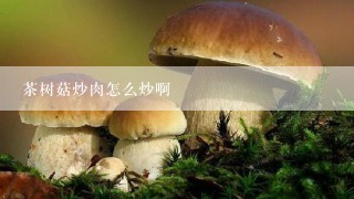 茶树菇炒肉怎么炒啊