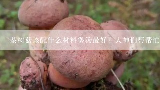 茶树菇该配什么材料煲汤最好？大神们帮帮忙