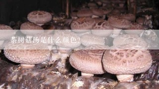 茶树菇汤是什么颜色？