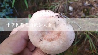 干茶树菇煮面做法大全