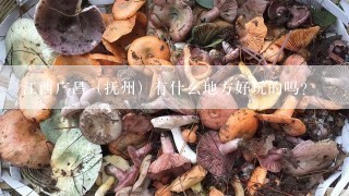 江西广昌（抚州）有什么地方好玩的吗？