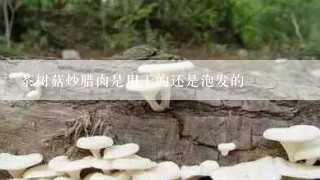 茶树菇炒腊肉是用干的还是泡发的