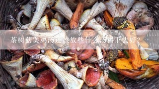 茶树菇煲鸡汤还该放些什么汤料下去好？