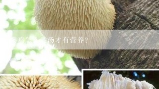 乌鸡怎么煮汤才有营养？