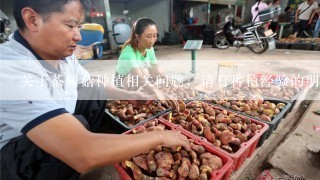 关于茶树菇种植相关问题，请有种植经验的朋友指教！