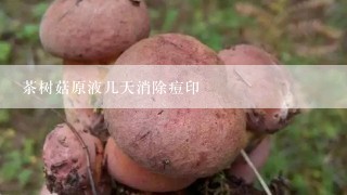 茶树菇原液几天消除痘印