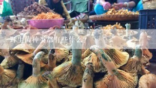 野生菌种类都有些什么？