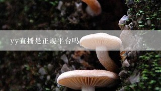 yy直播是正规平台吗