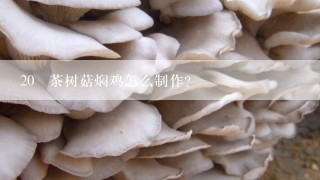 20 茶树菇焖鸡怎么制作?