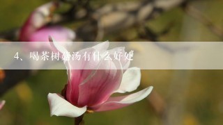 喝茶树菇汤有什么好处