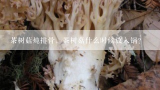 茶树菇炖排骨，茶树菇什么时候放入锅？