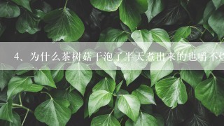 为什么茶树菇干泡了半天煮出来的也嚼不烂呢