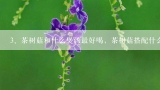 茶树菇和什么煲汤最好喝，茶树菇搭配什么煲汤好