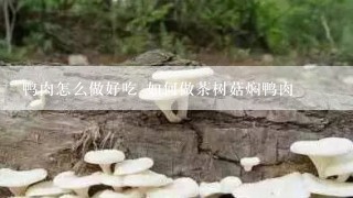 鸭肉怎么做好吃 如何做茶树菇焖鸭肉