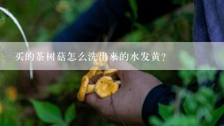 买的茶树菇怎么洗出来的水发黄？