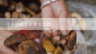 干茶树菇怎么煮才会烂