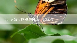 豆角可以和茶树菇一起吃吗