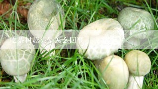 吃茶树菇头晕怎么回事