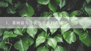 茶树菇为什么泡出来有香味