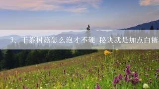 干茶树菇怎么泡才不硬 秘诀就是加点白糖？