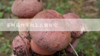 茶树菇炒牛肉怎么做好吃