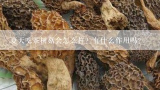 夏天吃茶树菇会怎么样？有什么作用吗？