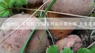 大神们 求赐教 干煸茶树菇的做法啊 主要是茶树菇需要怎么腌制还有是不是需要包裹上面 就是类似于图片这的