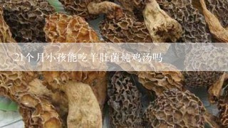 21个月小孩能吃羊肚菌炖鸡汤吗