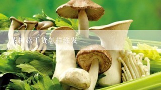 茶树菇干货怎样涨发