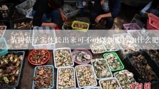 茶树菇子实体长出来可不可以加肥料加什么肥料