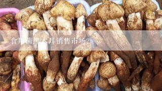 食用菌黑木耳销售市场？