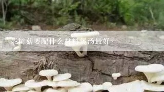 茶树菇要配什么材料煲汤最好？