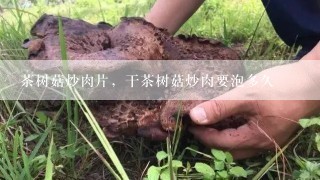 茶树菇炒肉片，干茶树菇炒肉要泡多久