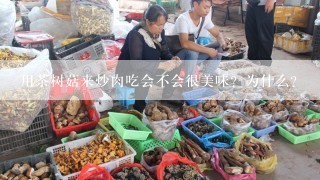 用茶树菇来炒肉吃会不会很美味？为什么？