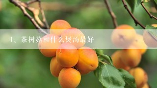 茶树菇和什么煲汤最好