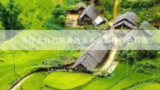 为什么自己熬菌汤弄不成那种白色得汤