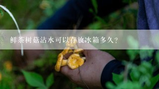 鲜茶树菇沾水可以存放冰箱多久？