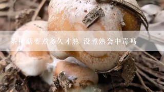 茶树菇要煮多久才熟 没煮熟会中毒吗