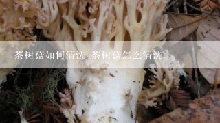 茶树菇如何清洗 茶树菇怎么清洗