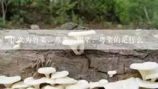 依次为鲁菜，苏菜，川菜，粤菜的是什么