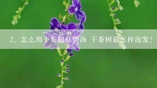 怎么用干茶树菇煲汤 干茶树菇怎样泡发？