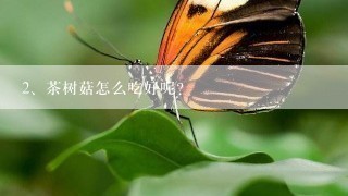 茶树菇怎么吃好呢？